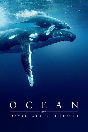 Ocean with  David Attenborough